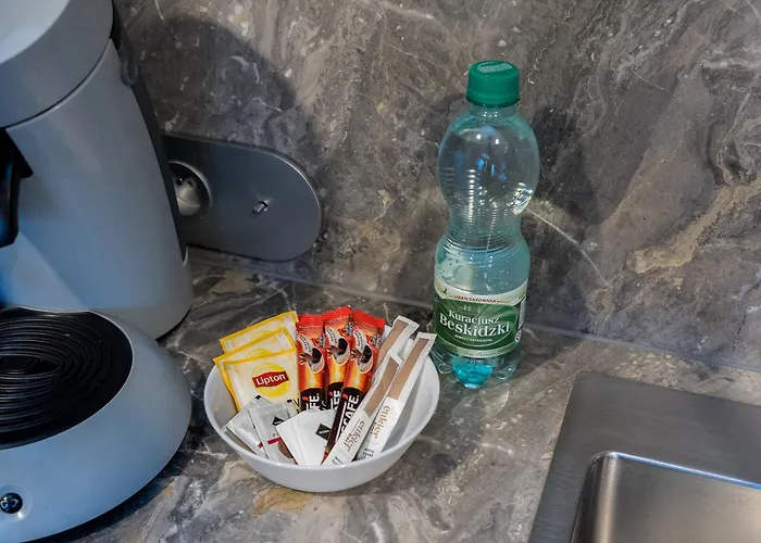 Apartment Wilson Park Homely With Mezzanine By Bookinghost Posen